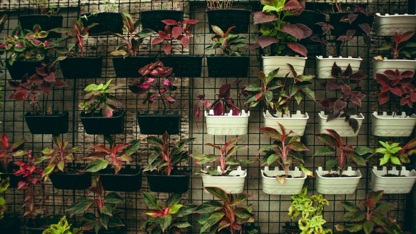 vertical garden for small balcony