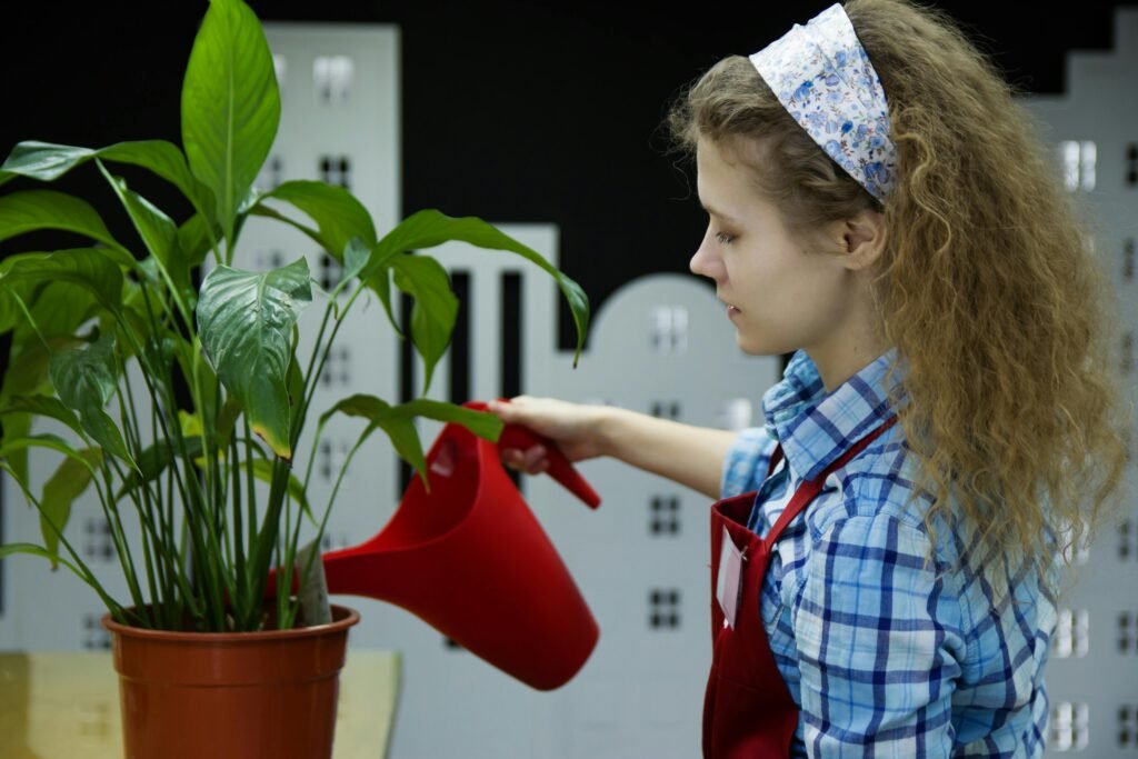 air purifying plants