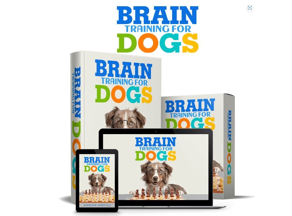Does Brain Training for Dogs really work? Full And Honest Review