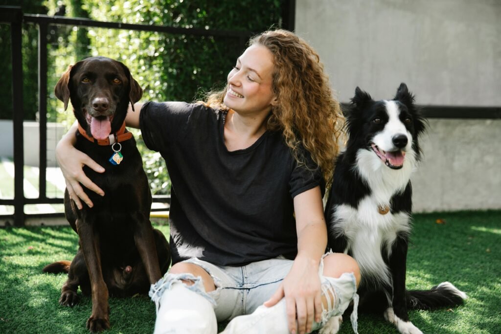 Dog Training Near Me: Start Training Your Dog 2 pexels blue bird 7210349