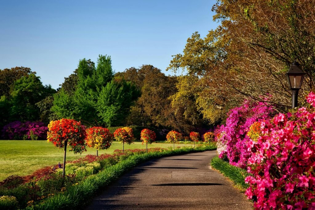 landscape designers