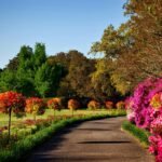 landscape designers